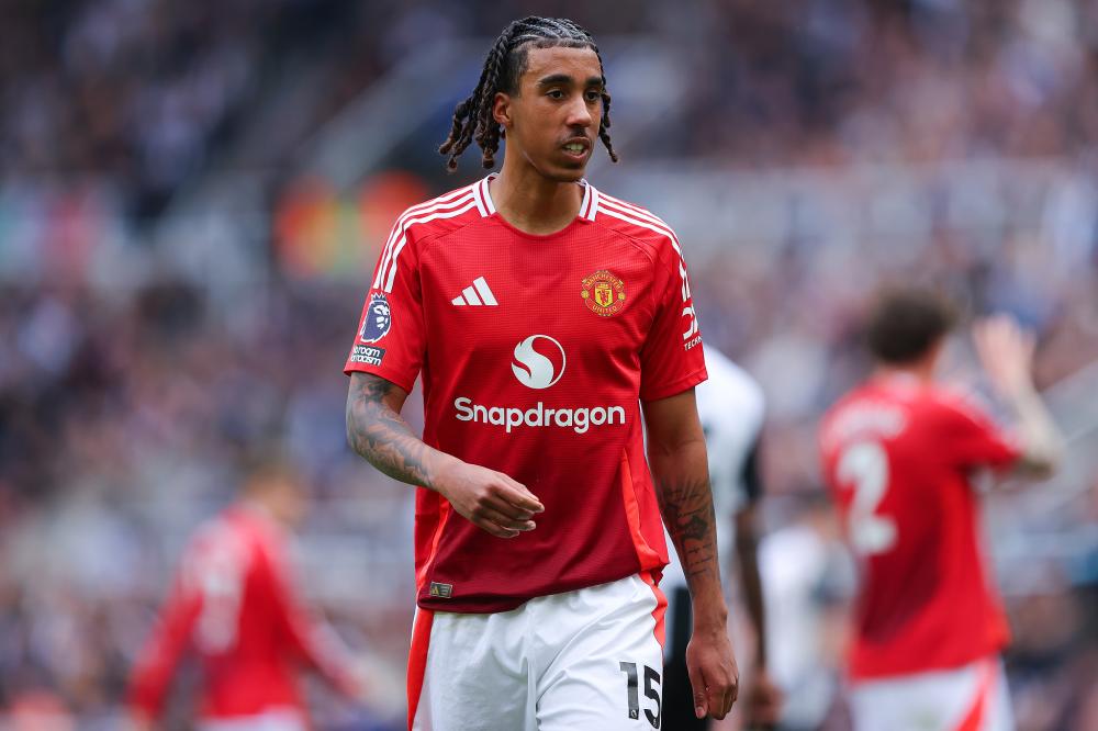 起了许多篮 起了许多篮